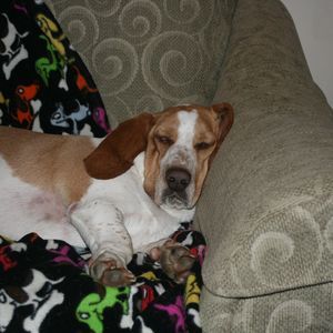 Meet your Posher, Elisa